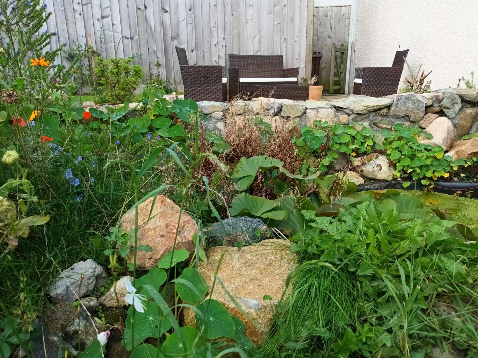 Sunrise! ~ 2 Bedrooms, Garden, Parking, Sea Views St Ives Eksteriør bilde